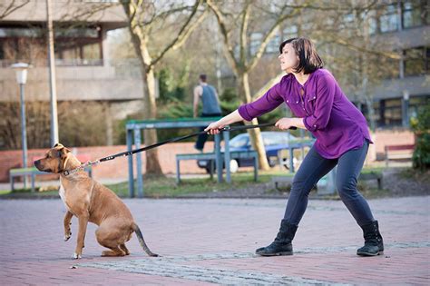 犬 散歩 嫌がる ～なぜ彼らはリードを引っ張るのか？～